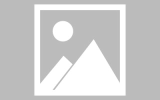 百色论文网站建设（网站建设的论文）